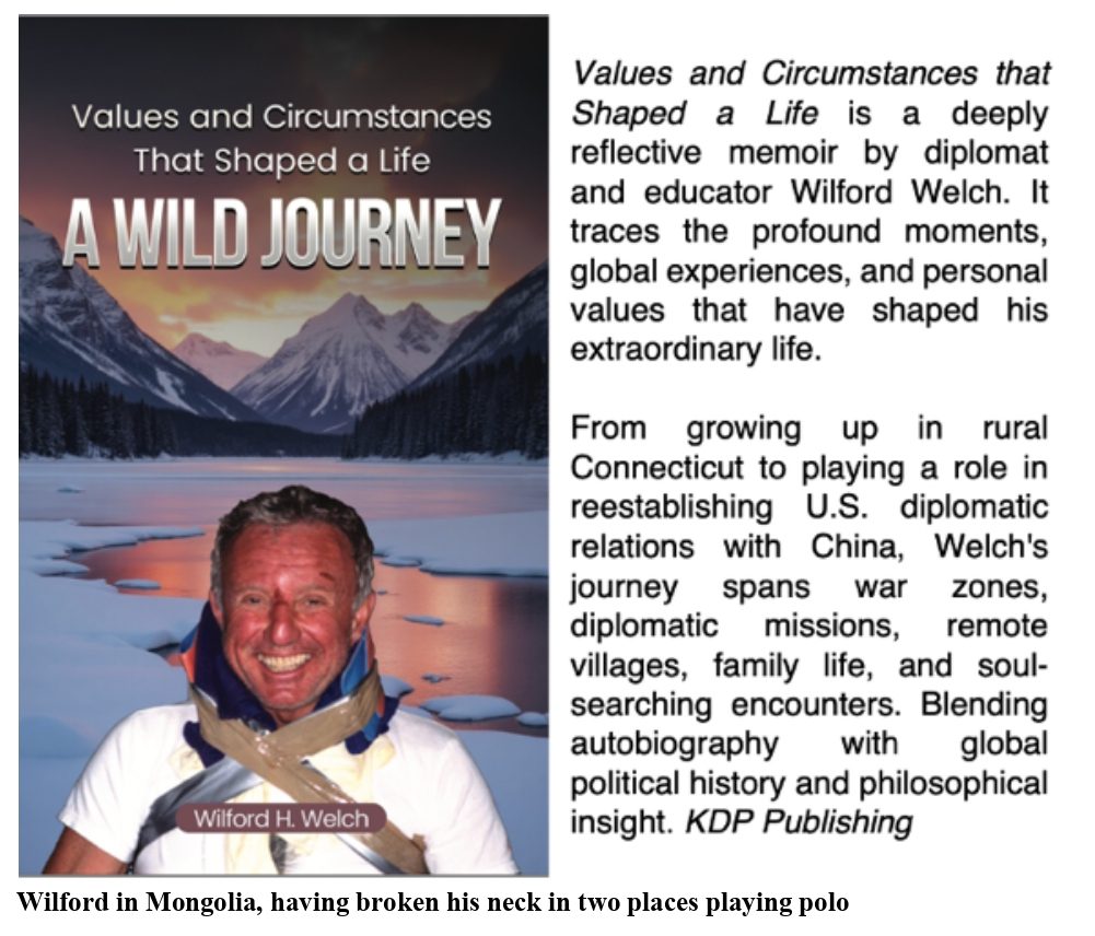Book cover titled 'Values and Circumstances' with a mountain and a reflective lake.